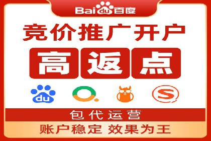 案例分析：竞价推广助力企业打造爆款产品